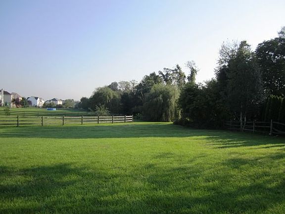 Level .69 Backyard Backs to Trees
