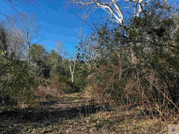 1234 County Rd, Maud, TX 75567