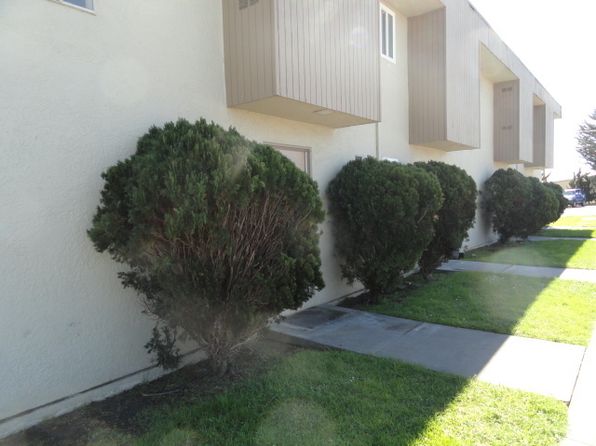 19 Lunsford Dr APT 4