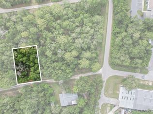 751 S Norma Ave, Inverness, FL 34453