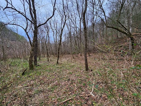 4th image of 0 Middle Creek Rd