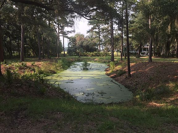 Lagoon in common area