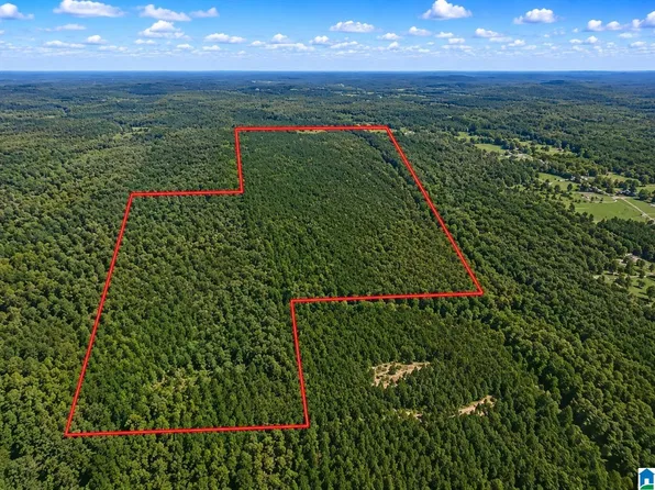 0 Mountain View Ln #0, West Blocton, AL 35184