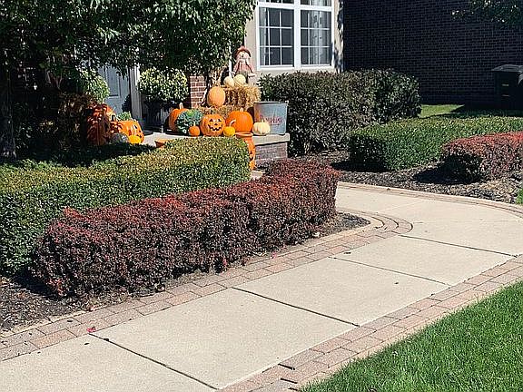 3rd image of 48752 Freestone Dr