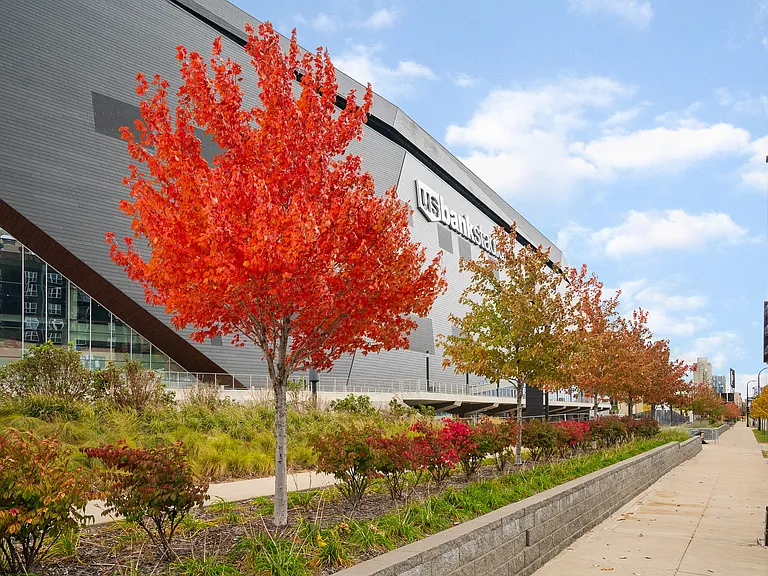 Near US Bank Stadium