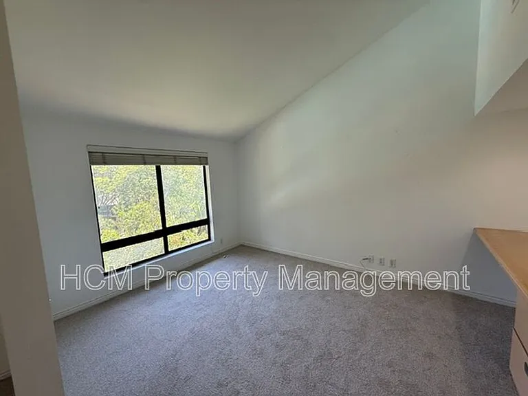 19 Viejo — Photo 18
