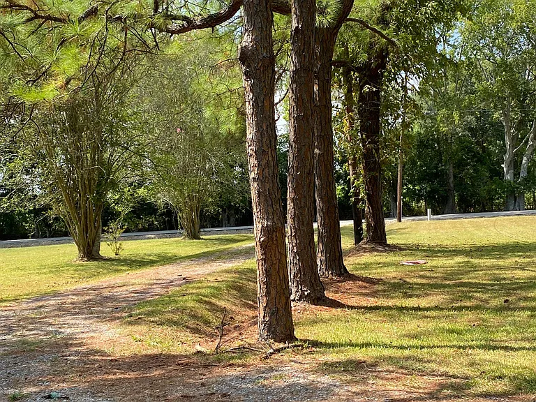 Front Driveway