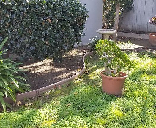 5th image of 41 San Clemente St #8186001