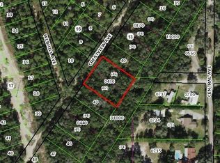 100 N Crestview Ave, Inverness, FL 34452