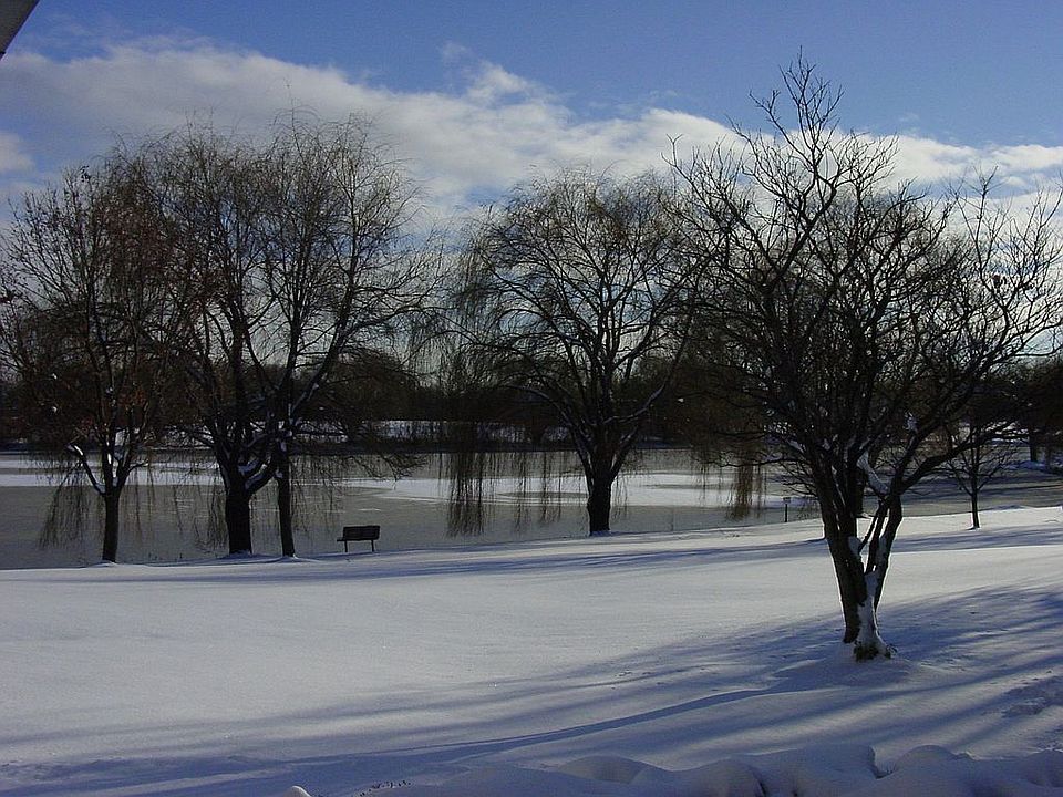 Patio View - winter