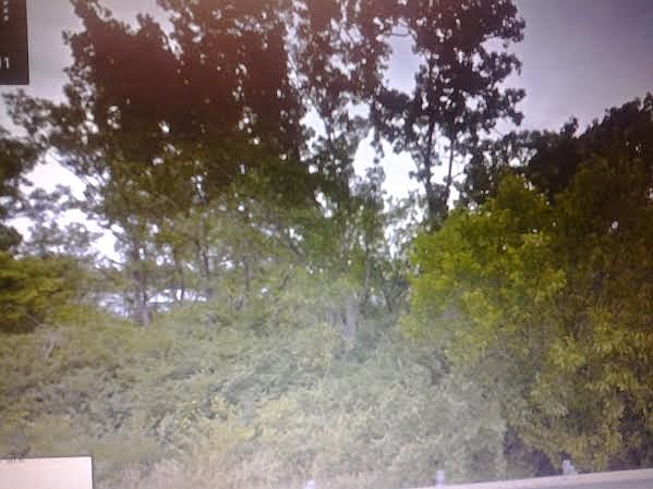 1st image of 801 S Arlington Ave