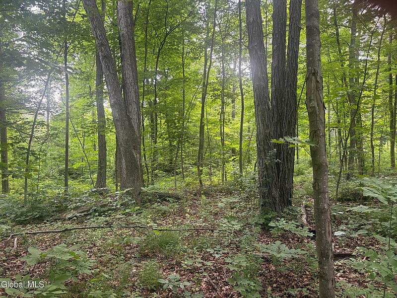 3rd image of L1.022 Delaware