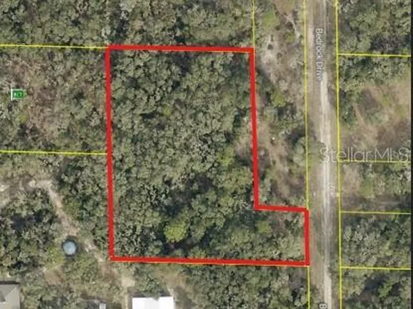 0 Bedrock Dr Lot 12, Webster, FL 33597