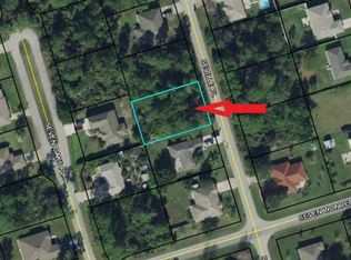 5 Seville Pl, Palm Coast, FL 32164