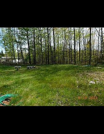 4th image of 311 Arbutus Ave