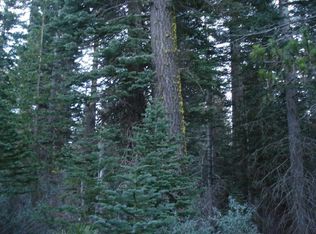 1465 Ararat Dr, Bucks Lake, CA 95971