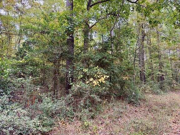 4th image of 1319 Lakeshore Dr