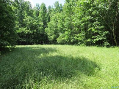 200 County Road 119, Woodville, AL, 35776