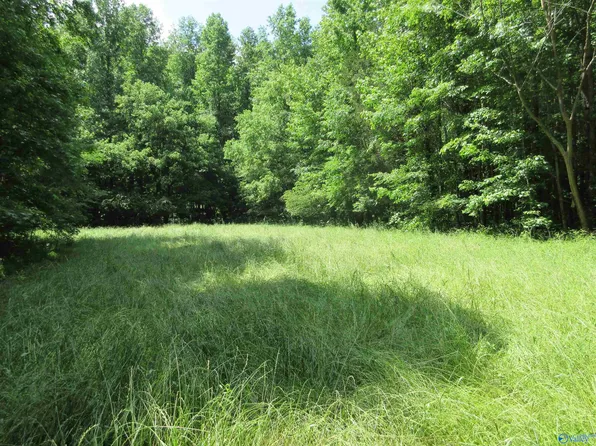 200 County Road 119, Woodville, AL 35776