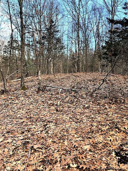 4th image of 573 WILLOWBROOK Road