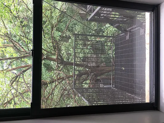 Rented by Nooklyn NYC LLC | media 35