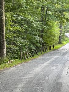 Buntz Rd, Canterbury, CT, 06331