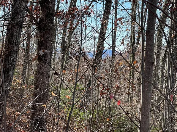 Lots Ash Branch View, Hayesville, NC 28904