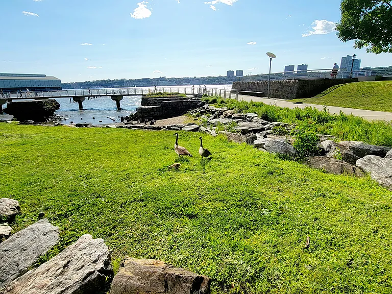 106 Central Park S #12L — Photo 17