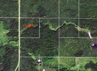 8 Tbd County Rd, Littlefork, MN 56653