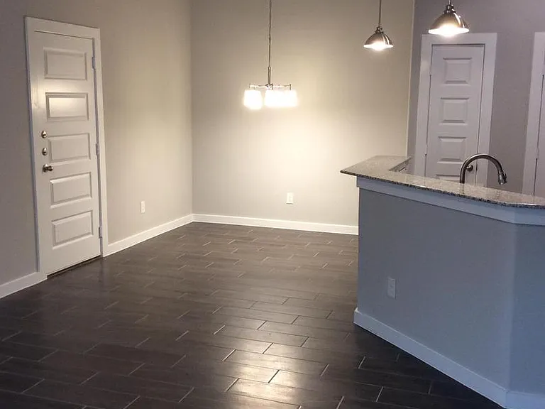 253 Hidden Springs Dr — Photo 3