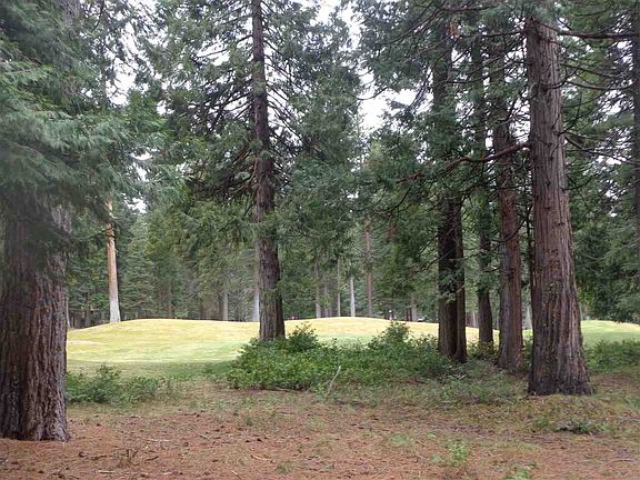 2nd image of 256 Lake Almanor West Dr #1