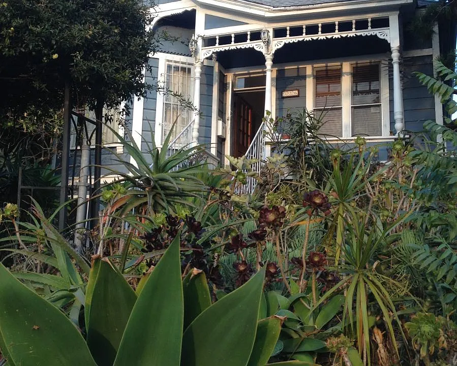 Douglas St