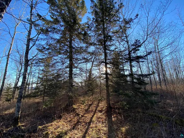 L1-B1 Crosswind Trl, Tofte, MN 55615