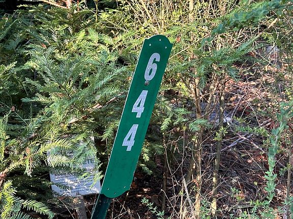 3rd image of 644 Acorn Dr