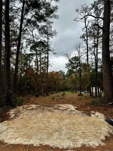 15172 Cherry Laurel Lane, Navasota, TX, 77868