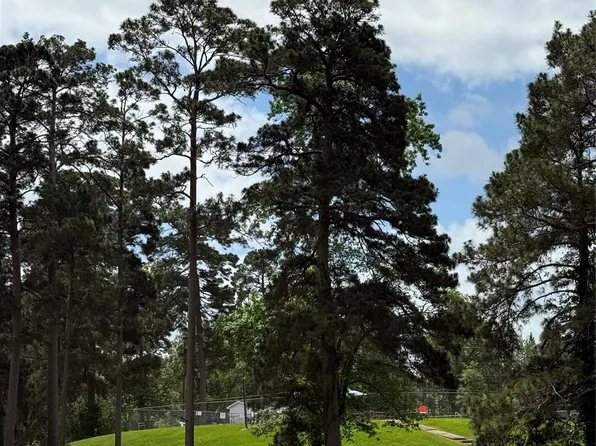 199 Apple Tree, Onalaska, TX 77351