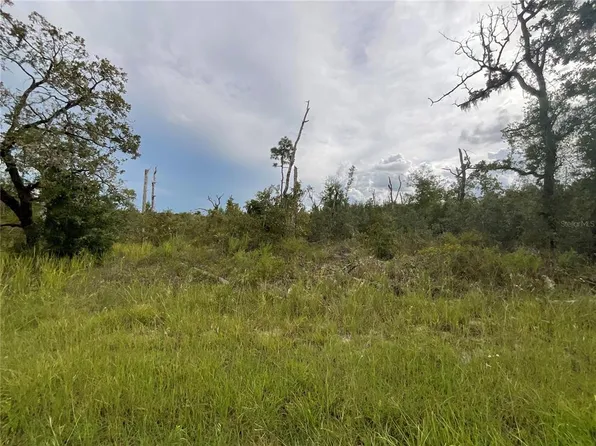 13101 Thrasher Ave Lot 17, Brooksville, FL 34614