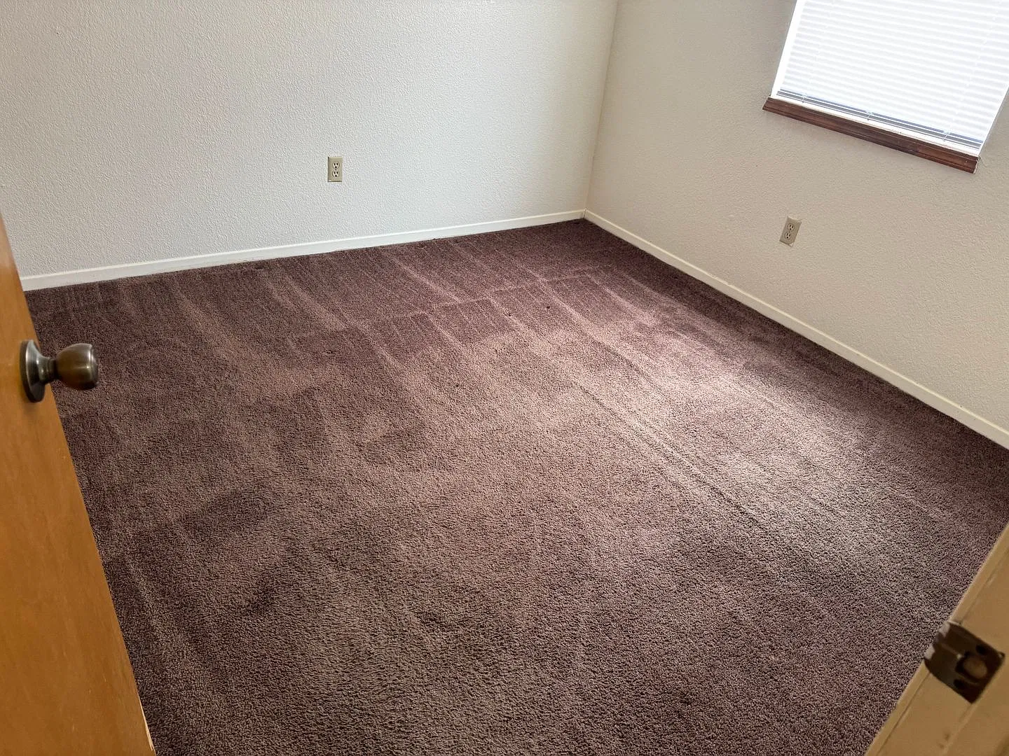 2507 Pecan Dr — Photo 3