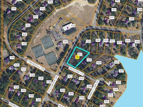 115 Edgewater Dr, West End, NC 27376