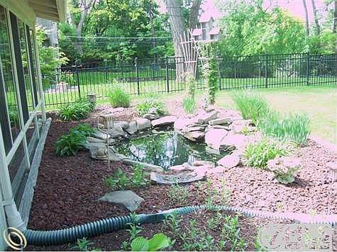 Pond.JPG