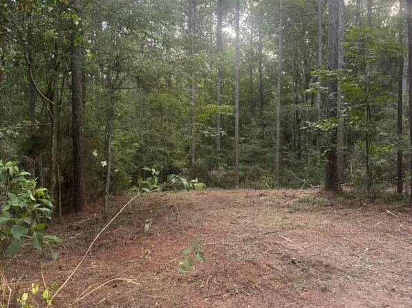 20 Mol Ac Hwy #42, Petal, MS 39465