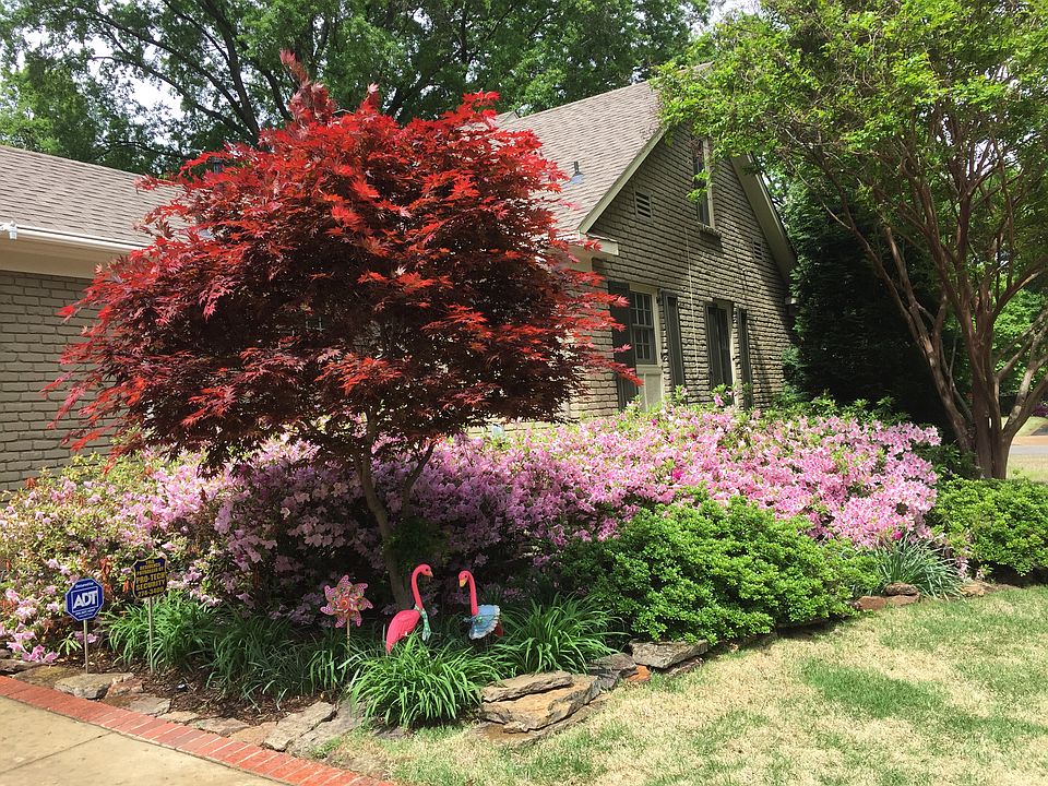 2nd image of 4541 Shady Grove Rd