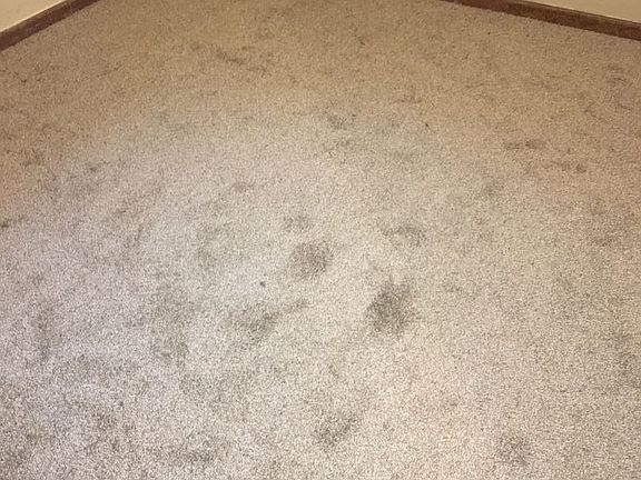 5th image of 36091 Hathaway St APT C