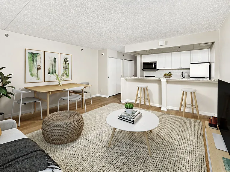Apartment living area (virtually staged)