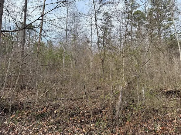 0 Beechy Crk, South Shore, KY 41175
