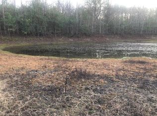 0 Tommy McGough Rd, Nauvoo, AL 35578