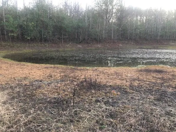 0 Tommy McGough Rd, Nauvoo, AL 35578