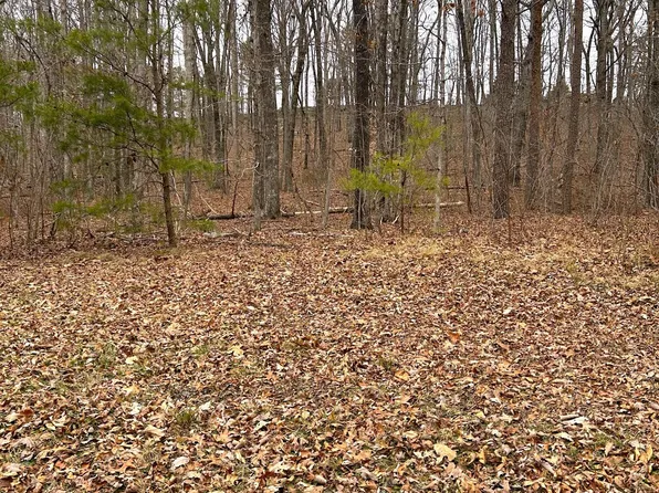 16415 Downey View Dr, Sale Creek, TN 37373