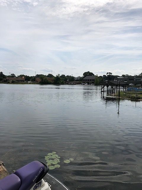 Lake and Lilly pads at dusk.