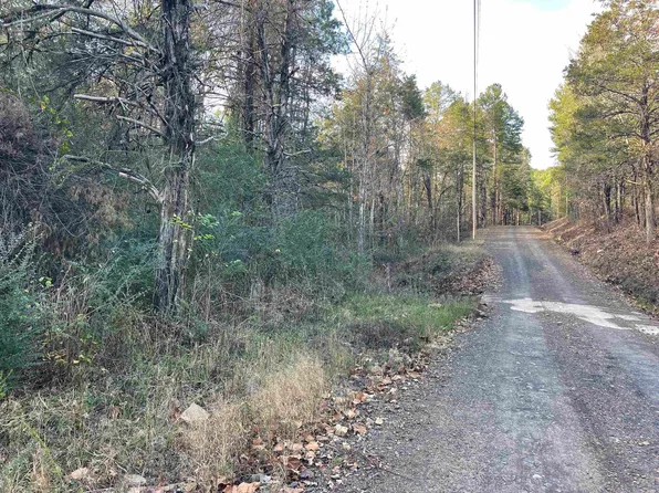 (undisclosed Address), Shirley, AR 72153